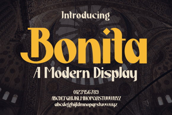 Bonita Font: Elevate Your Visual Design